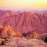 Gallery Thumbnail 1