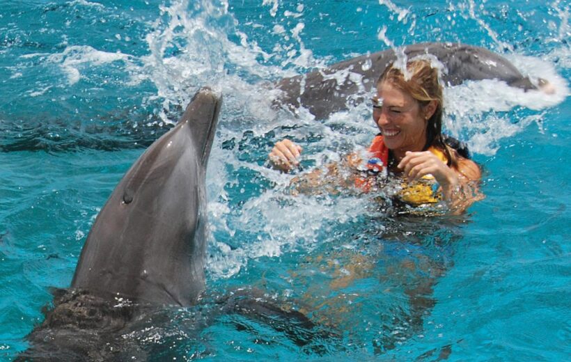Dolphins trip Hurghada