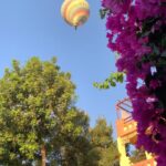 Gallery Thumbnail 15