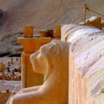 Gallery Thumbnail 11